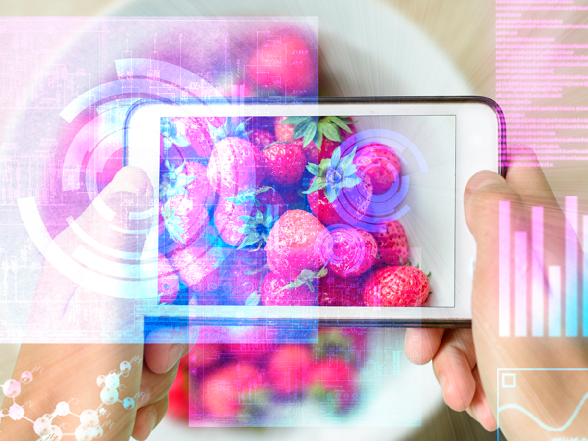 O Futuro Sustentável da Alimentação