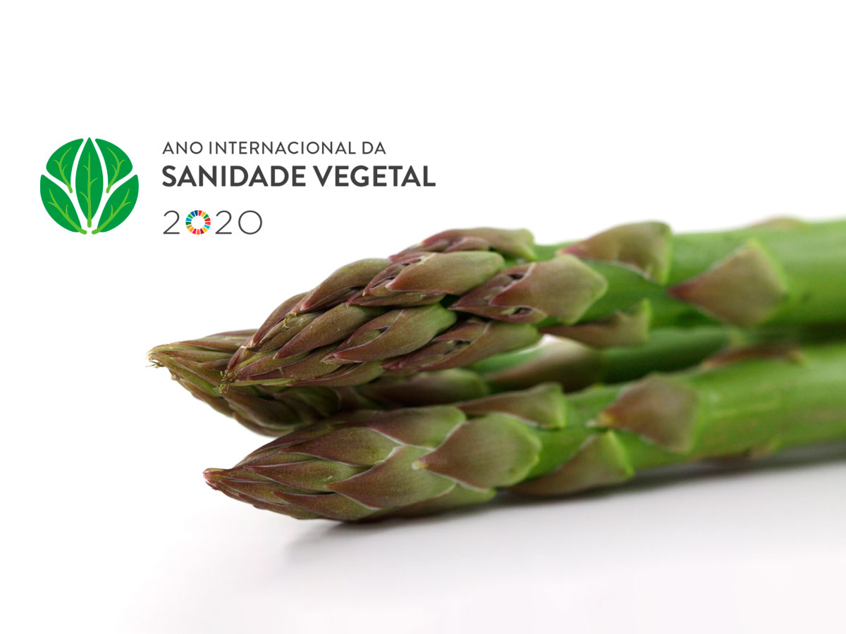 O que tem 2020 preparado para a Agricultura? Um Desafio Global.