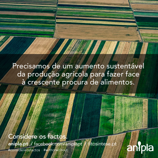 Considere-os-Factos-108