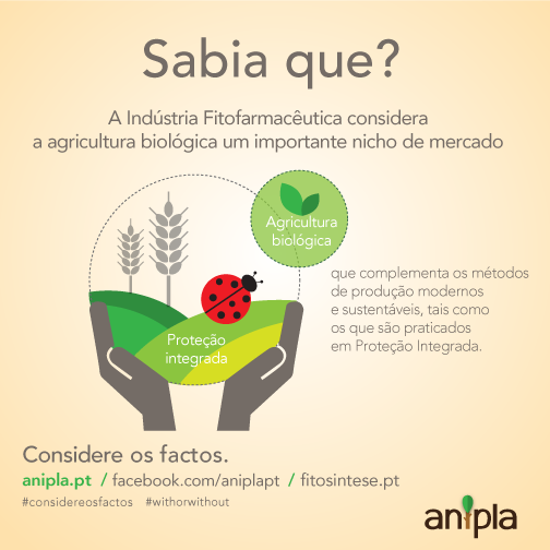 Considere-os-Factos-117