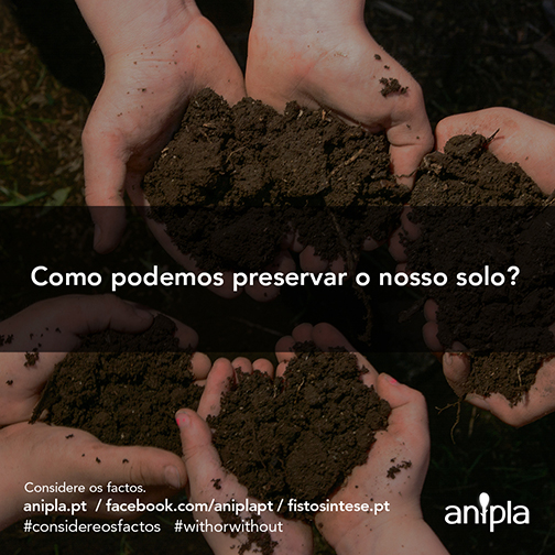 Considere-os-Factos-126