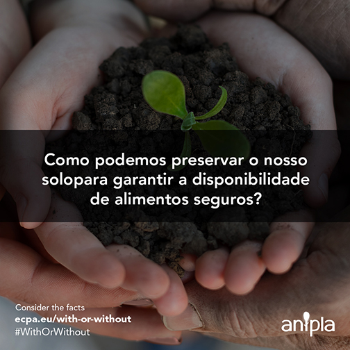 Considere-os-Factos-128