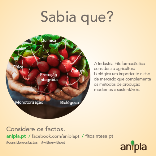 Considere-os-Factos-136