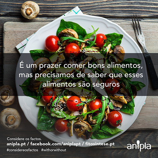 Considere-os-Factos-137