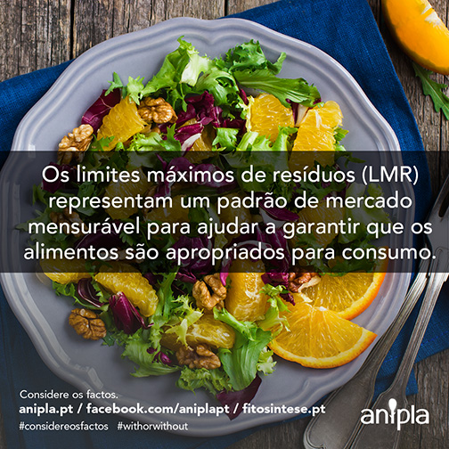 Considere-os-Factos-138