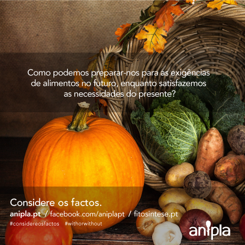 Considere-os-Factos-146