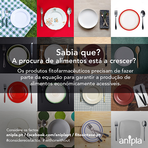 Considere-os-Factos-148