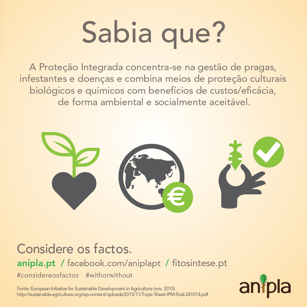 Considere-os-Factos-77