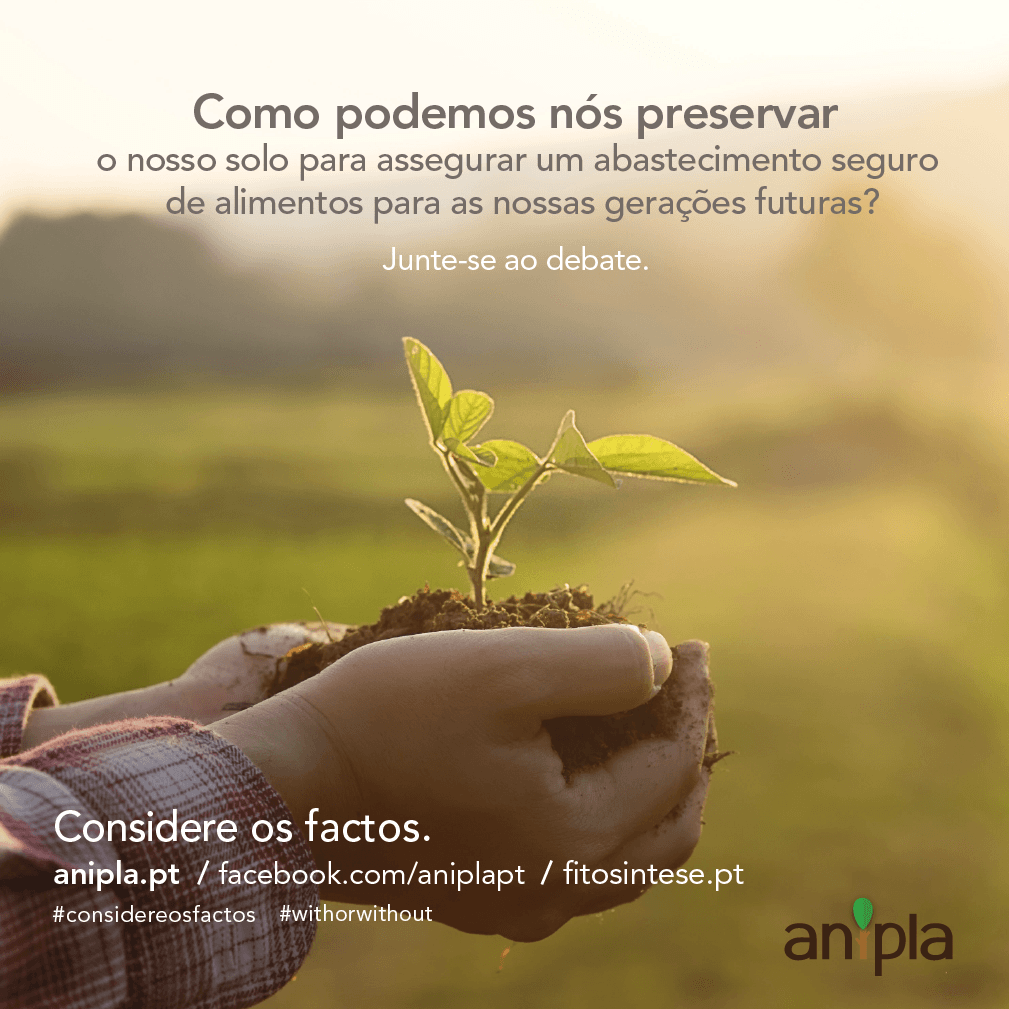 Considere-os-Factos-87