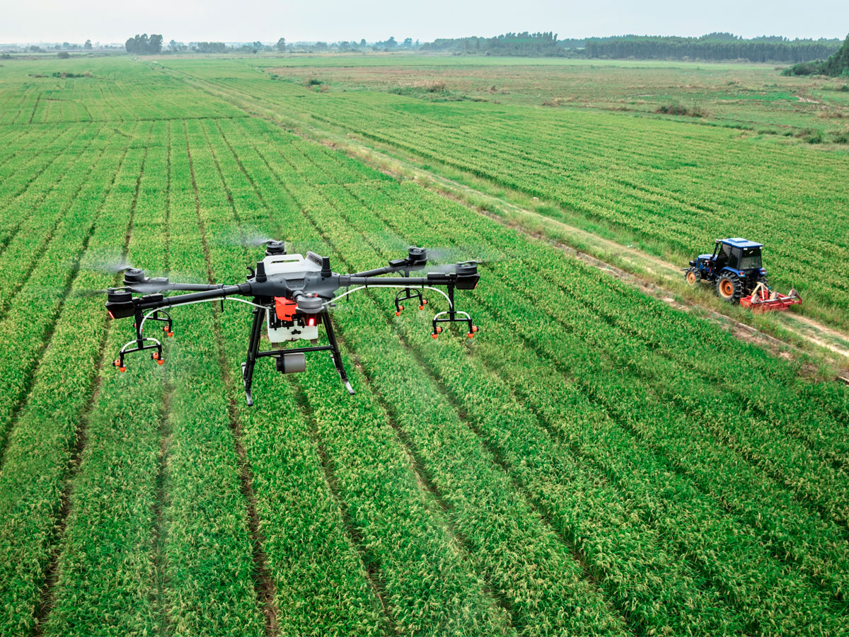 Agricultura de Precisão: Um caminho de evolução