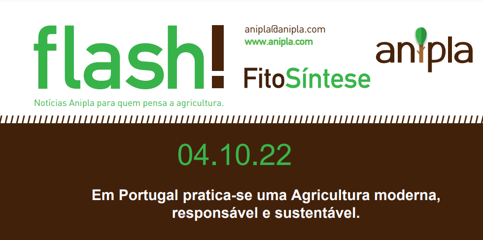 FLASH 82/2022