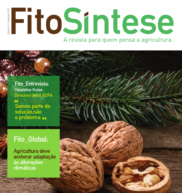 FITOSÍNTESE 2019
