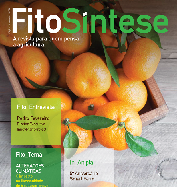 FITOSÍNTESE 2021