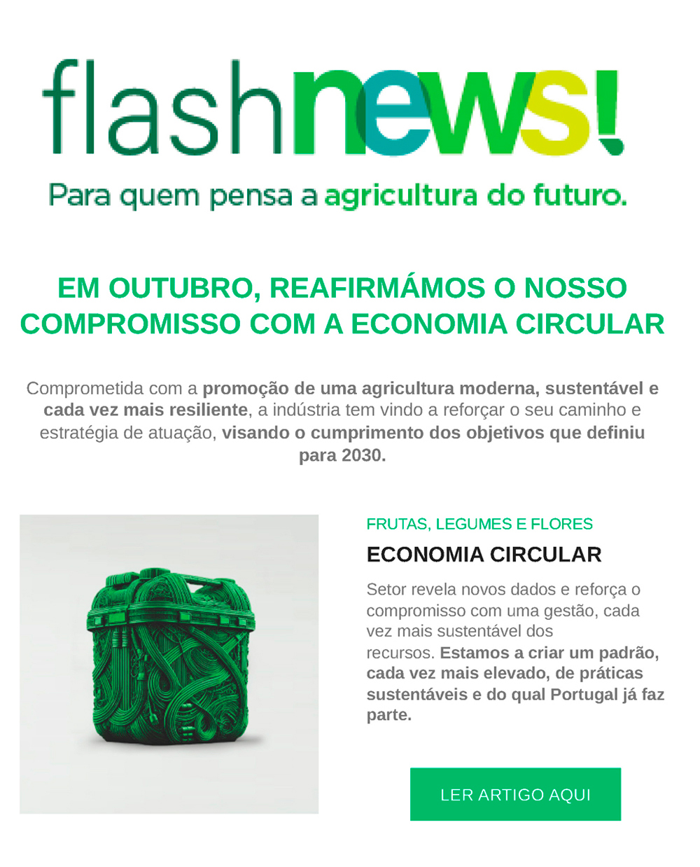 FLASH NEWS OUTUBRO'24